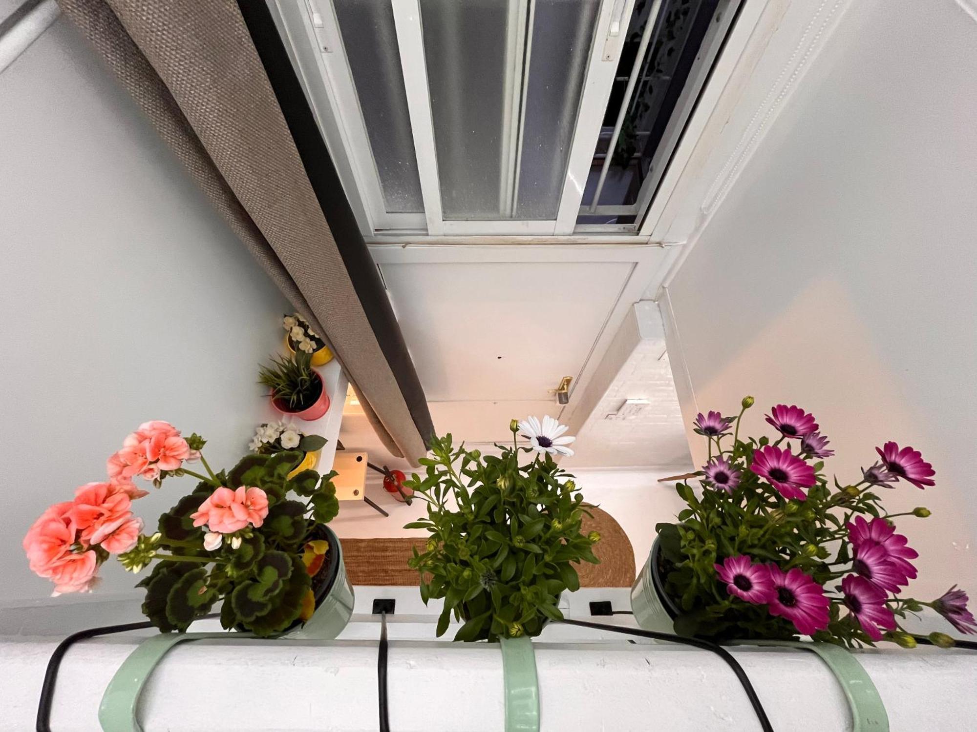 Mini Duplex4 Plaza Mayor マドリード エクステリア 写真